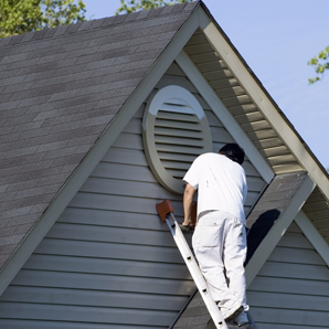 About Our Naples Painting Company